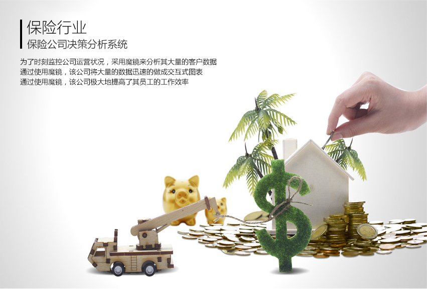 保险公司决策分析系统