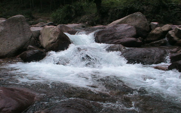 后坂村的大数据样本
