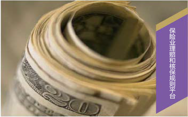 保险业理赔和核保规则平台