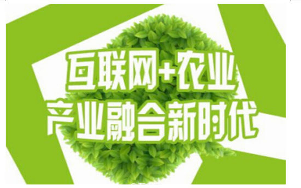 “互联网+农业”大潮已起农业大数据时代正到来