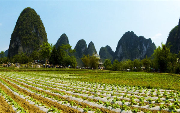 农业部:我国将构建农业大数据体系