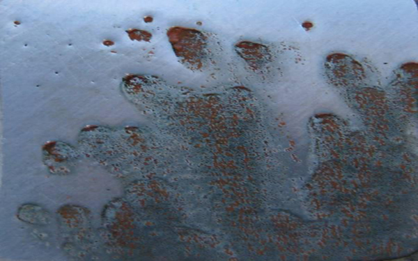 《自然》发表中国“腐蚀大数据”