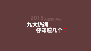 年末盘点 | 2015大数据行业九大关键词你知道几个？