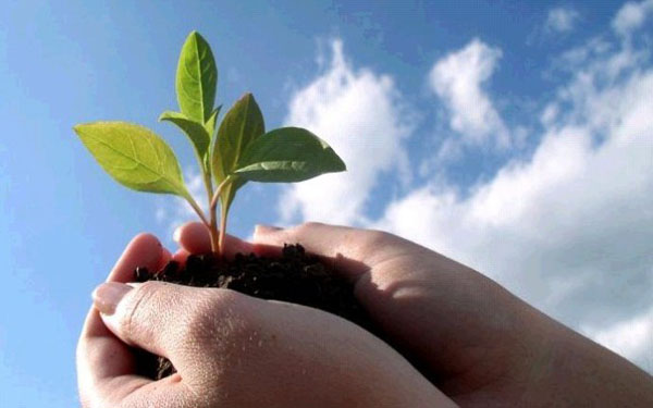 生态环境建设也要用到“大数据”