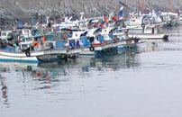 浪潮ERP船舶行业整体解决方案