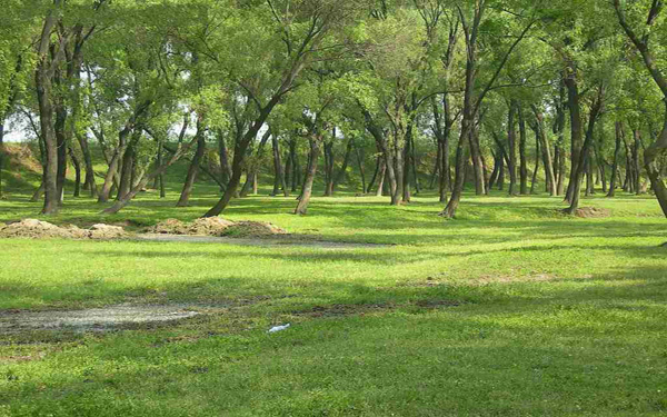 国家林业大数据三年工作方案编制完成