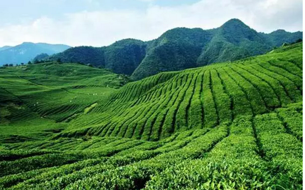 农业部印发《关于推进农业农村大数据发展的实施意见》