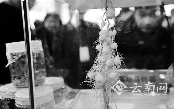 云南有了农业大数据中心 蔬菜卖哪里 鼠标点一点