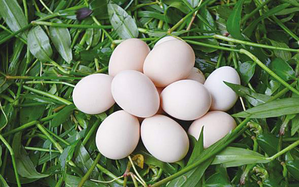 提升大数据大生态产品供给水平