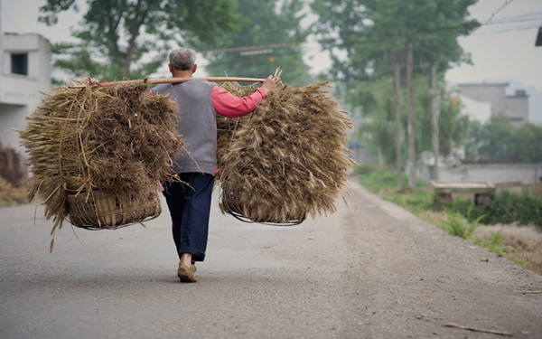 四川南充建成330万农村劳动力“大数据”库