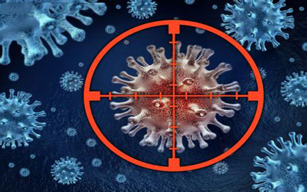 上海浦东将建老年人健康数据库 通过大数据预防控制疾病