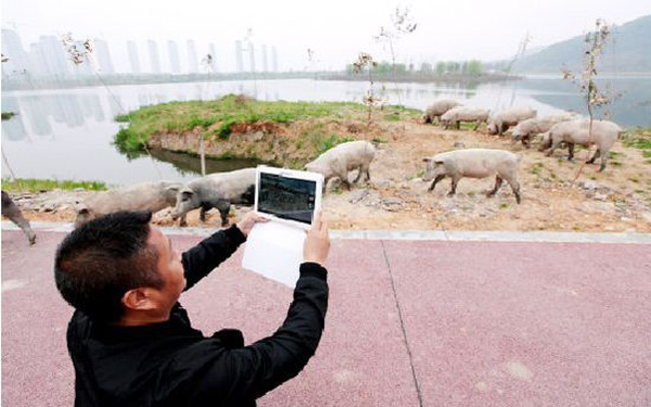 浙江乐清打造大数据治水新模式