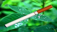 HCR烟草行业解决方案