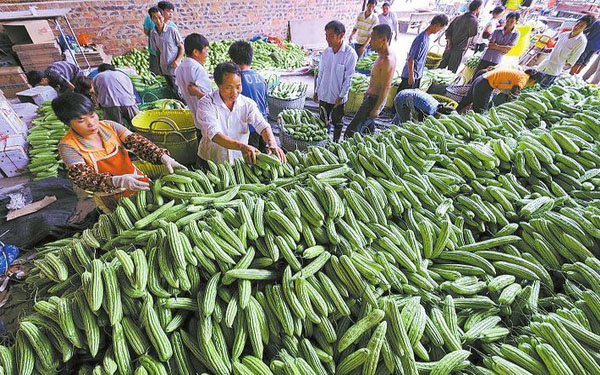 互联网+大数据，农产品也可以这样卖