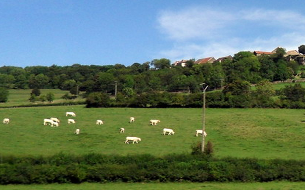 蒙牛凭牧场大数据获国家创新奖