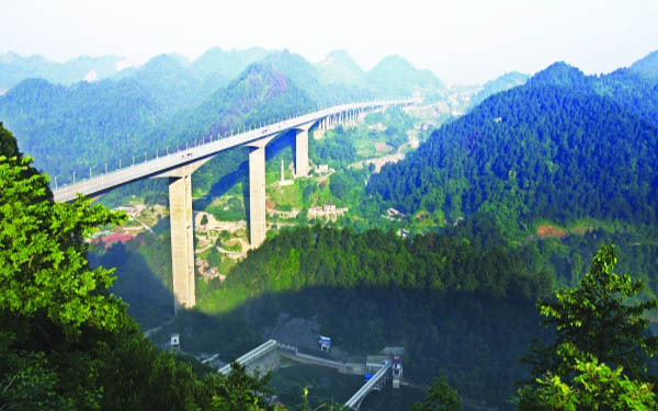 发挥林业大数据效能 服务生态文明建设