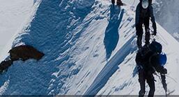 分析 | 中国微信500强月度报告（2016年5月）