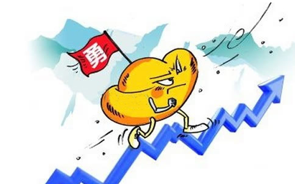 互联网金融投资者真的弱不禁风？