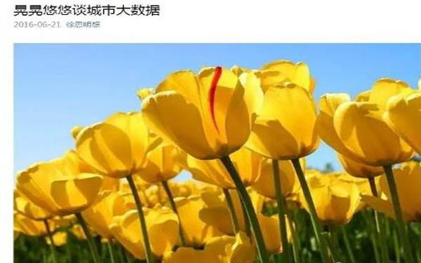 一个实践者的感悟：晃晃悠悠谈城市大数据