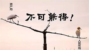 泡沫 | 数据分析，政府会保房价、还是保货币？