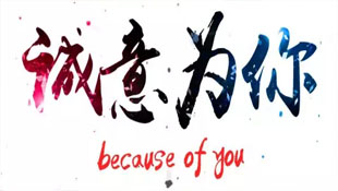 细分 | 数据观+明道=数据驱动项目管理