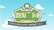 数说 | 大数据“下田”