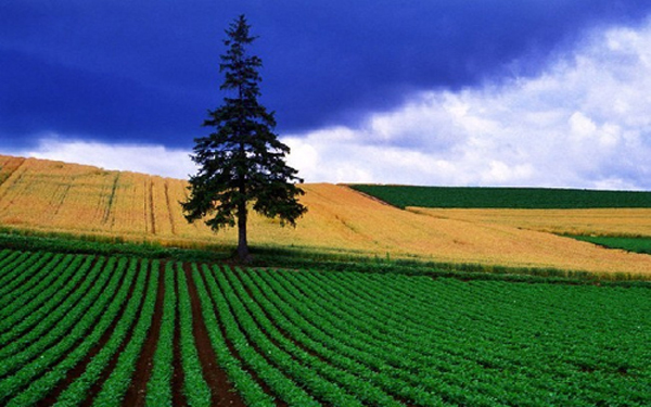 加强信息安全 促进国土资源大数据应用发展