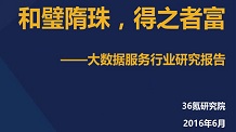 2016年大数据服务行业研究报告（文末附PDF文件下载）