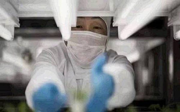 卫计委：发展健康医疗大数据 应警惕数据安全和患者隐私