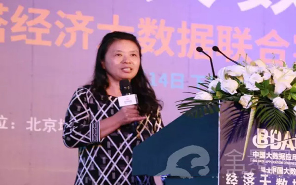 工信部副总工程师何霞:我国大数据存四大问题
