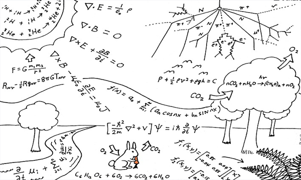 关注 | 数据铁笼——行动计划