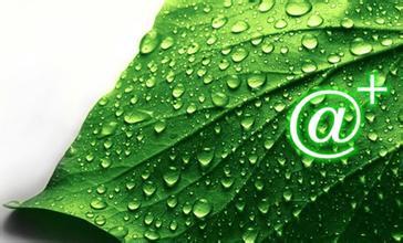 互联网正成为绿色消费领域新的主战场