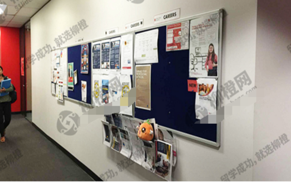 柳橙网：在线留学新模式 大数据助阵留学服务变革