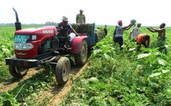 吉林检察预防工作“大数据”走进田间地头