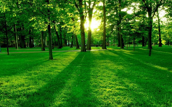 环保大数据如何迈出第一步