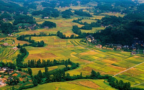 中国将开展农业农村大数据试点