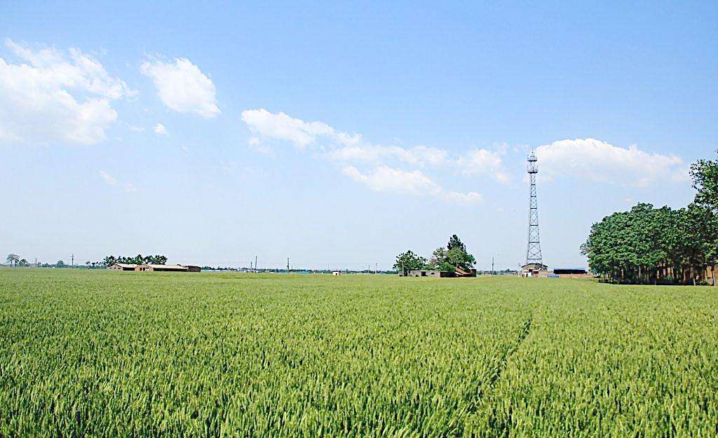 “互联网+”现代农业掀起农业信息化新浪潮