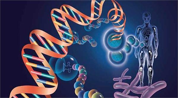 基于大数据的精准医疗公司拓普基因获A轮过亿融资