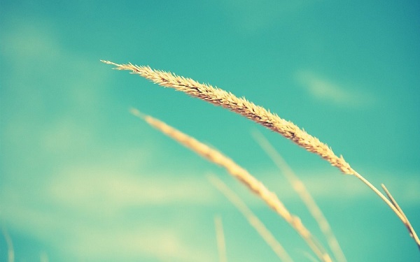 大数据观察：互联网寻亲，让团圆的脚步更近