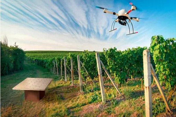 思考 | 2050年大数据农业如何喂饱全球近百亿人口？