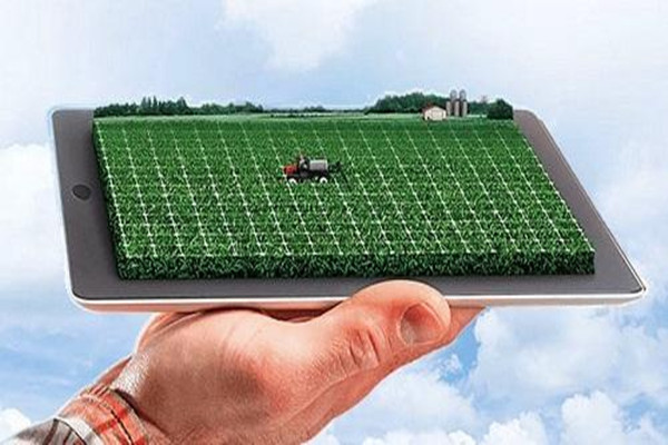 大数据+远程操控 青岛种菜用上高科技