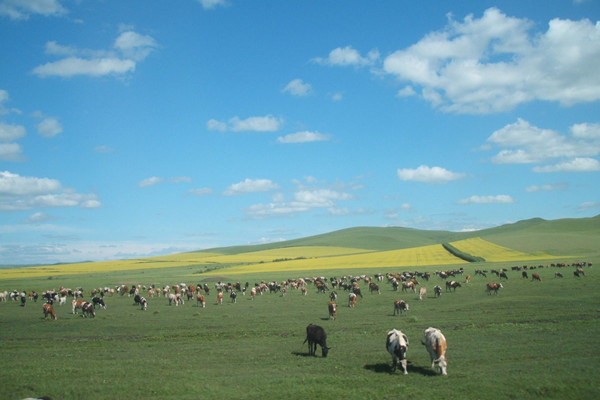 全国政协委员王召明：让大数据成为生态建设的教科书