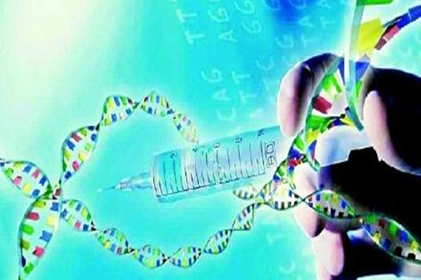 明码生物科技完成7500万美元B轮融资加速基因组大数据平台发展