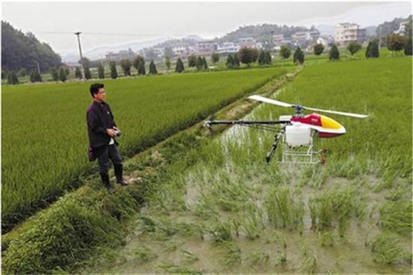 农业大数据：“互联网+”驱动智慧农业发展