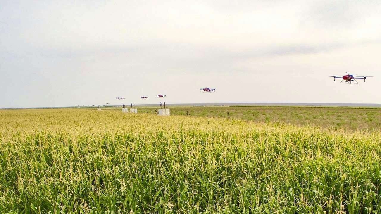 新疆将建农业农村大数据平台