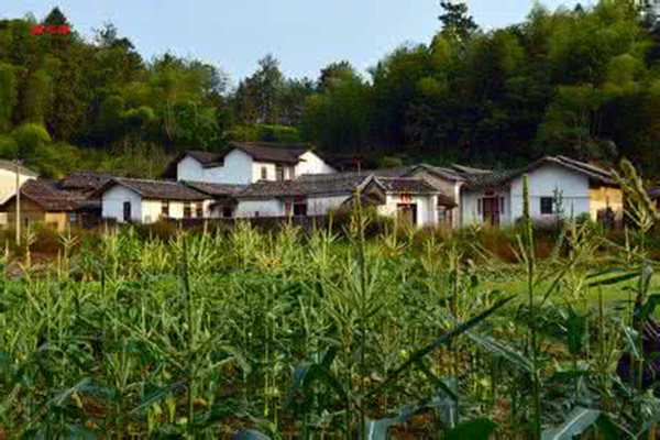 大数据的广阔前景，农业大数据产业发展正当时