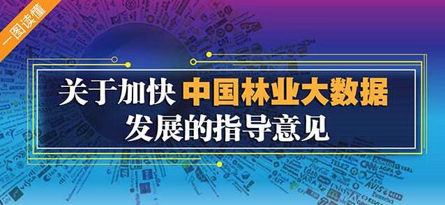 解读 | 关于加快中国林业大数据发展的指导意见