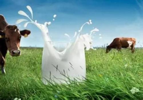 大数据成就放心乳业