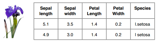预测的是Species这一列
