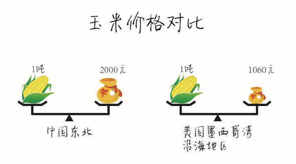 阿里副总裁涂子沛：总理担心的“玉米”，大数据可以拯救吗-图片1